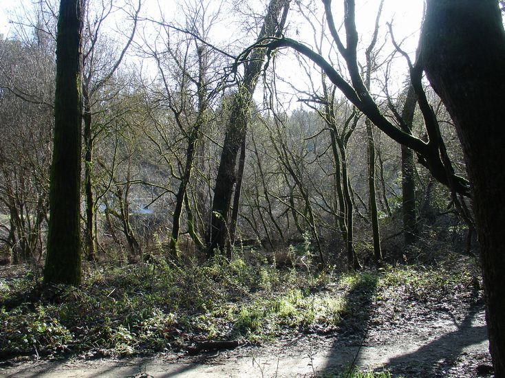 DSC01989