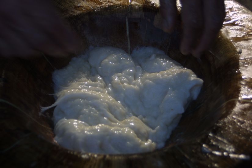 IMAGE971995_1230522051288