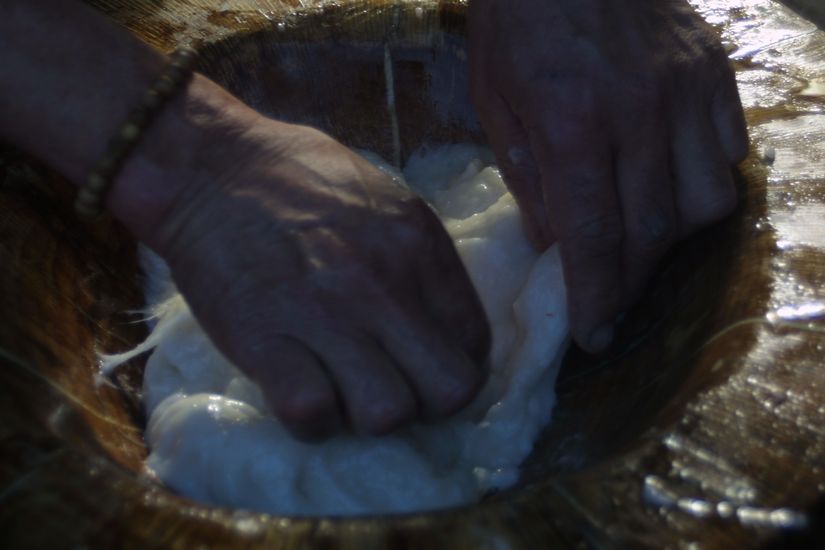 IMAGE971996_1230521982593