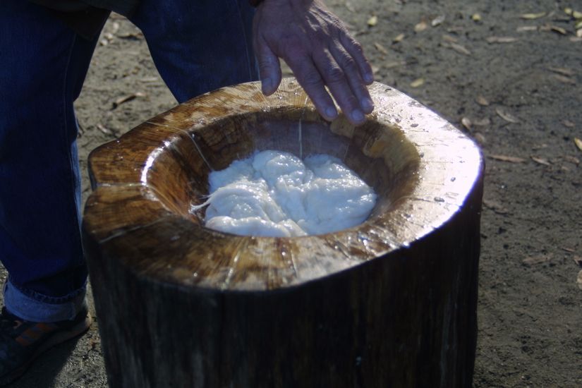 IMAGE971997_1230521959583