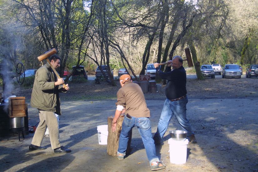 IMAGE971999_1230521900619